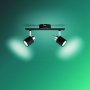 PHILIPS Meranti spot svetiljka crna 2X35W, 929003254010 - slika 2