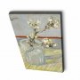 WALLXPERT Dekorativna slika 4570VANGOGH027 - slika 1
