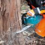 MAKITA Akumulatorska lančana testera XGT 40V max UC016GT101 - slika 2