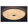 RABALUX Primrose 1426 LED 48 W Plafonjera - slika 2