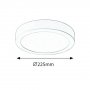 RABALUX Lois 2656 LED 18 W Spot - slika 2