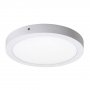 RABALUX Lois 2657 LED 24 W Spot - slika 1