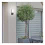 RABALUX Ecuador 7996 LED zidna lampa 7996 - slika 2