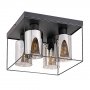 RABALUX Chadwick 71034 E27 4 x 25 W Plafonjera - slika 1