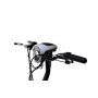 CAPRIOLO Električni bicikl RX20-48 crno-siv (292025-G) - slika 3