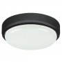 RABALUX Hort 7407 LED zidna/plafonska lampa - slika 1