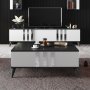 HANAH HOME Sto za dnevnu sobu Chrome Anthracite White - slika 3
