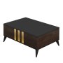 HANAH HOME Sto za dnevnu sobu Gold Anthracite Walnut - slika 1
