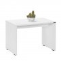 HANAH HOME Sto za dnevnu sobu RSH 300 DD 1 - slika 2