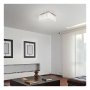 RABALUX Danielle 2448 LED 21 W Plafonjera - slika 3
