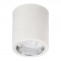 RABALUX Donald 2484 E27 60 W Spot - slika 1
