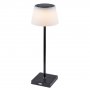 RABALUX TAENA 76010 Stona lampa - slika 1