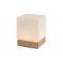 RABALUX Stona lampa pirit bukva 76003 - slika 1