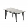 HANAH HOME Trpezarijski sto Pal White - slika 4