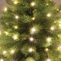 HOME Lampice za jelku sa 50 toplo belih mikro LED dioda ML50/WW - slika 2