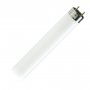 PHILIPS Fluo cev TL-D 36W/54-765 PS242 - slika 1