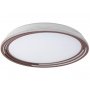 RABALUX Plafonjera valter braon 3750 - slika 1