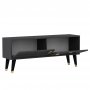 HANAH HOME TV polica Eagle Anthracite (327ODS1142) - slika 4