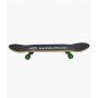 WINMAX Skateboard zeleni - slika 1