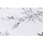 L`ESSENTIEL MAISON Posteljina (155x220) Cicory White - slika 5