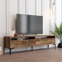 HANAH HOME TV polica Istanbul 2 Walnut (845HCT5518) - slika 4