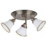 RABALUX Spot svetlo grando bronzano 6548 - slika 1