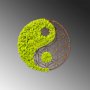 WALLXPERT Zidna dekoracija Yin Yang - slika 3