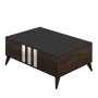 HANAH HOME Set za dnevnu sobu Chrome Set Anthracite Walnut - slika 2