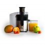 ROYALTY LINE RLPJ7611 Sokovnik 600W silver/crni - slika 1