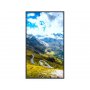 Hisense 55 inča 55WF45H Window Facing - 4500 nita High Brightness Display - slika 1