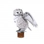 CUBICFUN Puzzle Snežna sova DS1079H - slika 2