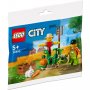 LEGO 30590 Bašta i strašilo na farmi - slika 1