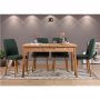 HANAH HOME Trpezarijski sto i stolice Santiago Atlantic Green - slika 1