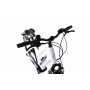 CAPRIOLO E-BIKE ECO 700.3 LADY belo - slika 2