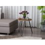HANAH HOME Pomoćni stočić Beren Walnut - slika 1