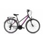 CAPRIOLO Roadster tour W 28'' sivo-pink (923611-17) - slika 1