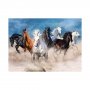 Blue Focus Puzzle 1000 delova Konji - slika 2