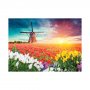 Blue Focus Puzzle 1000 delova Lale i vetrenjače - slika 2