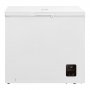GORENJE FH19EAW Horizontalni zamrzivač - slika 1
