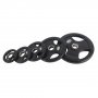 RING Olimpijski tegovi gumirani 2x10 kg-RX WP015-10 - slika 2