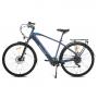 MS ENERGY EBike C11 M - slika 1