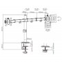 GEMBIRD MA-D2-01 Podesivi stoni držač za dva monitora, 17''-32, 2 x 9 kg'' - slika 2