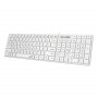GENIUS SlimStar 126 USB US bela tastatura - slika 2