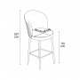 HANAH HOME Set 4 barske stolice Fora Anthracite Chrome - slika 2