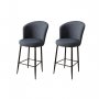 HANAH HOME Set 2 barske stolice Fora Anthracite Black - slika 1