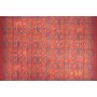Conceptum Hypnose Tepih (230x330) Dorian Chenille Red AL 227 - slika 2