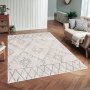 Conceptum Hypnose Tepih (160x230) Woobtny0230 - slika 1