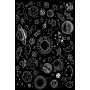 Conceptum Hypnose Tepih (180x280) HMNT488 - slika 2