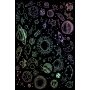 Conceptum Hypnose Tepih (180x280) HMNT489 - slika 2