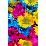 Conceptum Hypnose Tepih (180x280) HMNT505 - slika 2